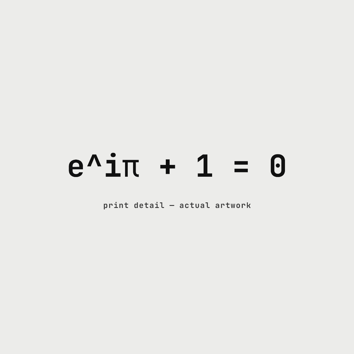 e^iπ —Hoodie